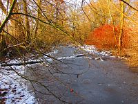 Staré Labe u Třebše (Hradec Králové)
