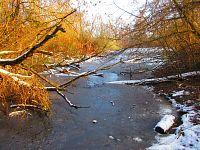 Staré Labe u Třebše (Hradec Králové)