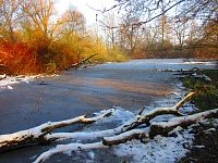 Staré Labe u Třebše (Hradec Králové)