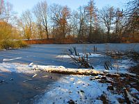 Staré Labe u Třebše (Hradec Králové)