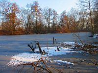 Staré Labe u Třebše (Hradec Králové)