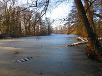 Staré Labe u Třebše (Hradec Králové)
