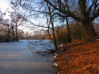 Staré Labe u Třebše (Hradec Králové)