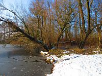 Staré Labe u Třebše (Hradec Králové)