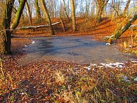 Staré Labe u Třebše (Hradec Králové)