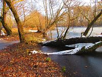 Staré Labe u Třebše (Hradec Králové)