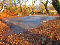 Staré Labe u Třebše (Hradec Králové)