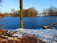 Staré Labe u Třebše (Hradec Králové)
