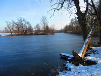 Staré Labe u Třebše (Hradec Králové)