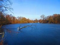 Staré Labe u Třebše (Hradec Králové)