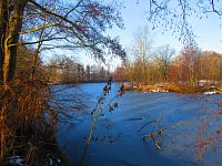 Staré Labe u Třebše (Hradec Králové)