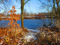 Staré Labe u Třebše (Hradec Králové)