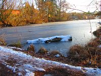 Staré Labe u Třebše (Hradec Králové)