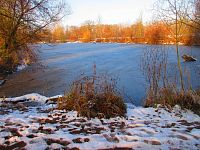 Staré Labe u Třebše (Hradec Králové)
