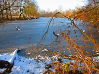 Staré Labe u Třebše v zimě