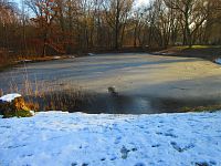 Rybník Hrázka v Třebši (Hradec Králové)