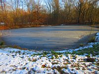 Rybník Hrázka v Třebši (Hradec Králové)