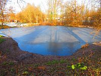 Rybník Hrázka v Třebši (Hradec Králové)