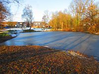 Rybník Hrázka v Třebši