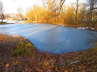 Rybník Hrázka v Třebši (Hradec Králové)