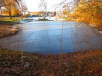 Rybník Hrázka v Třebši (Hradec Králové)