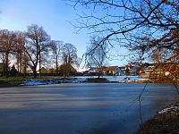 Rybník Hrázka v Třebši (Hradec Králové)