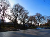 Rybník Hrázka v Třebši (Hradec Králové)