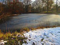 Rybník Hrázka v Třebši (Hradec Králové)