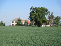 Borovice (Libníkovice)