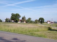 Borovice (Libníkovice)