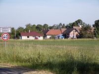 Borovice (Libníkovice)