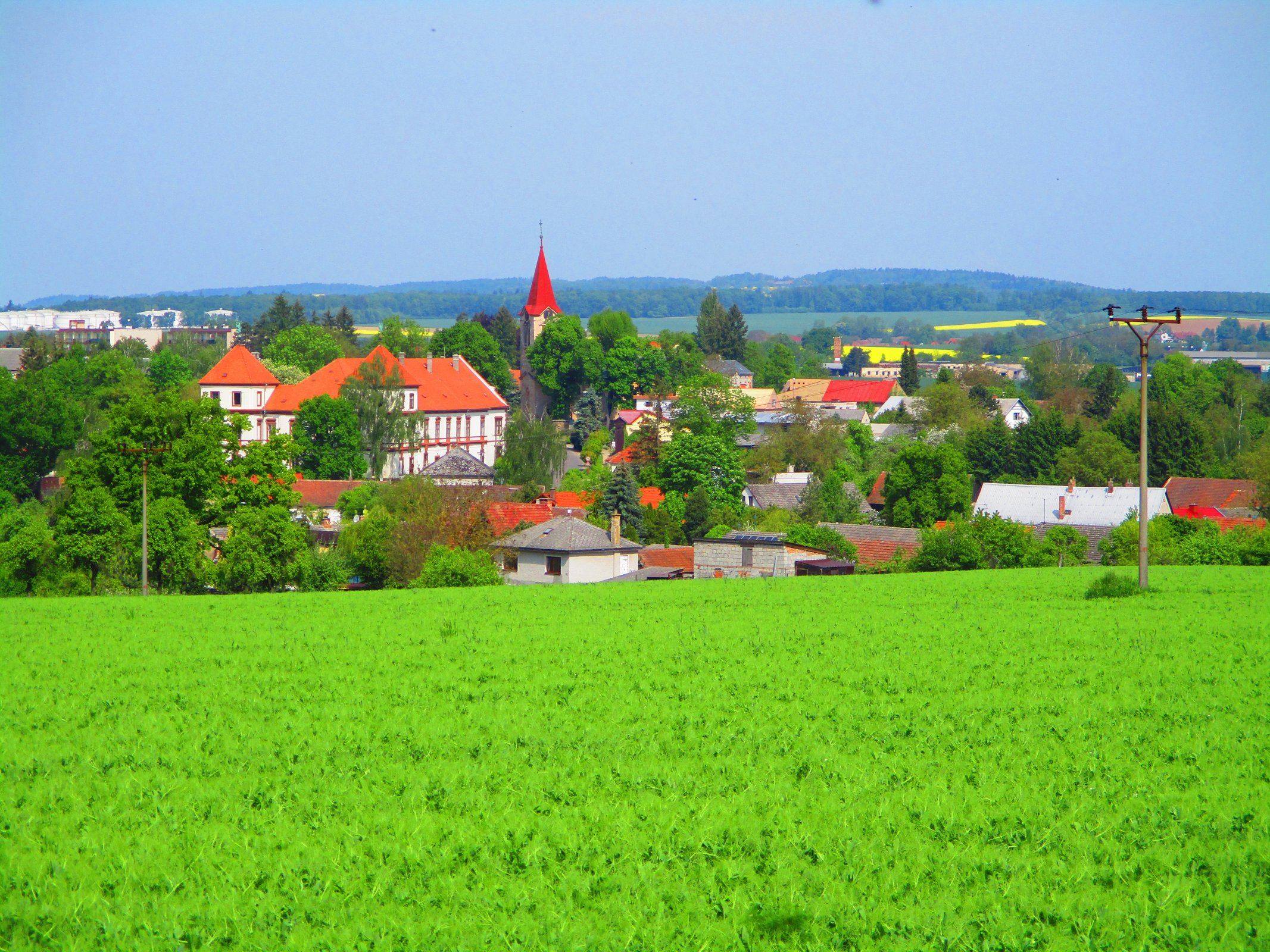 Jak se bojovalo s epidemií dobytčího moru v Hořiněvsi v roce 1872