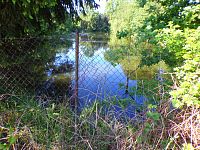 Voženílkův písník (Hradec Králové)