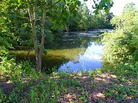 Voženílkův písník (Hradec Králové)