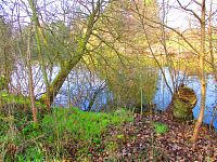 Voženílkův písník (Hradec Králové)