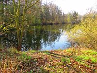 Voženílkův písník