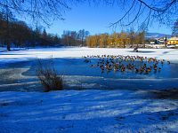 Rybník Barvíř (Úštěk)