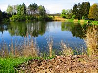 Rybník Šust (Čistěves)