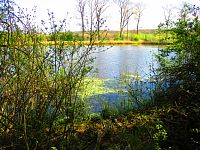 Rybník Šust (Čistěves)