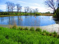 Rybník Šust (Čistěves)