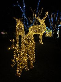 Vánoční výzdoba Popradu v roce 2025