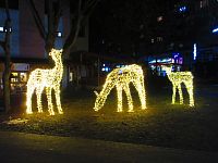 Vánoční výzdoba Popradu v roce 2025