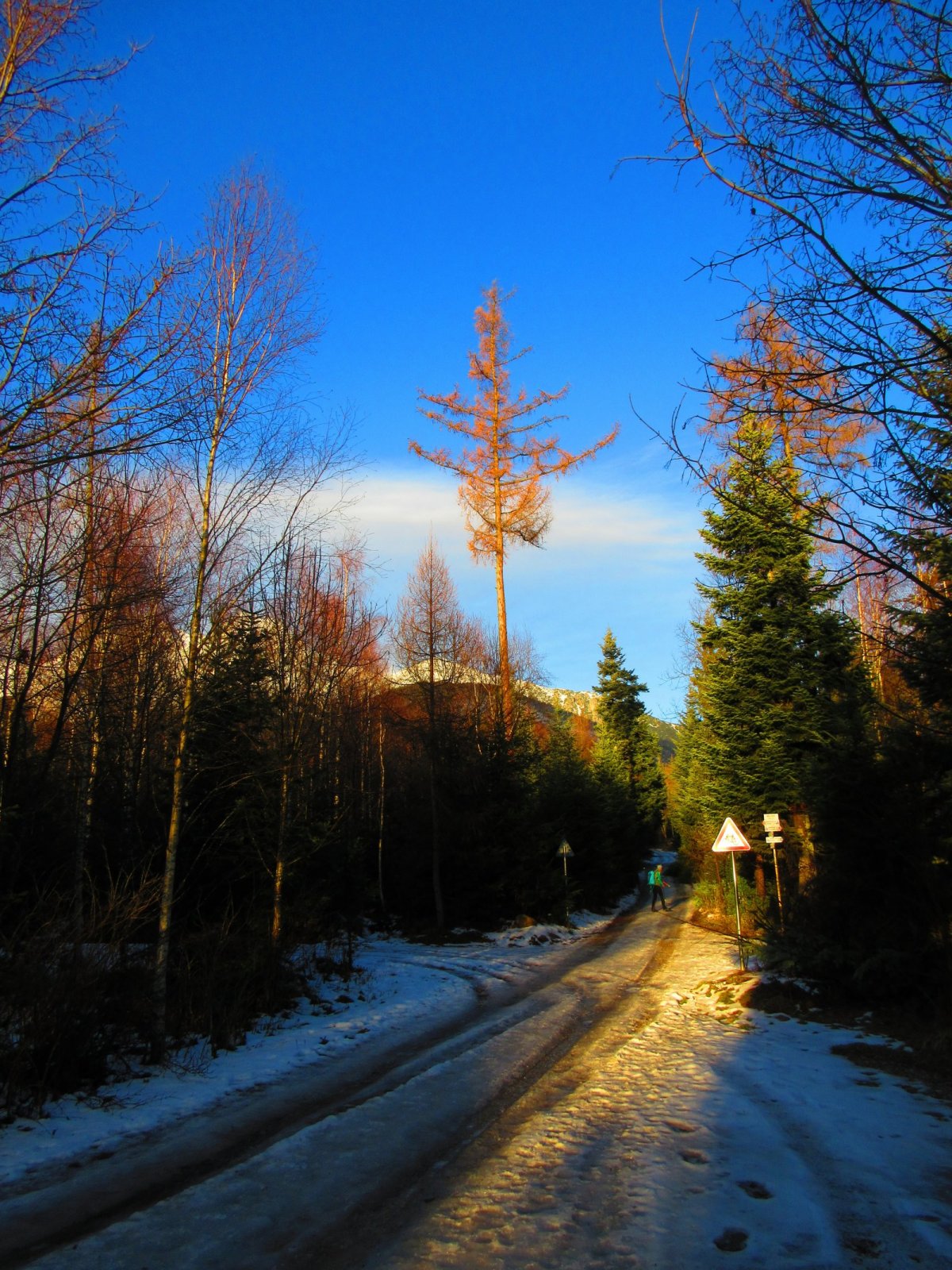 Dolina Kežmarskej Bielej vody