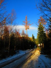 Dolina Kežmarskej Bielej vody