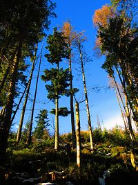 Dolina Kežmarskej Bielej vody (Vysoké Tatry)