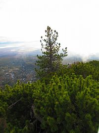 Slavkovská vyhlídka "Maximiliánka" (Starý Smokovec)