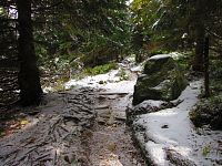 Mengusovská dolina (Štrbské Pleso)