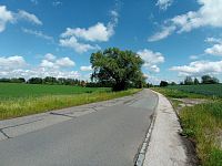 Kotrčova ulice (Hradec Králové)