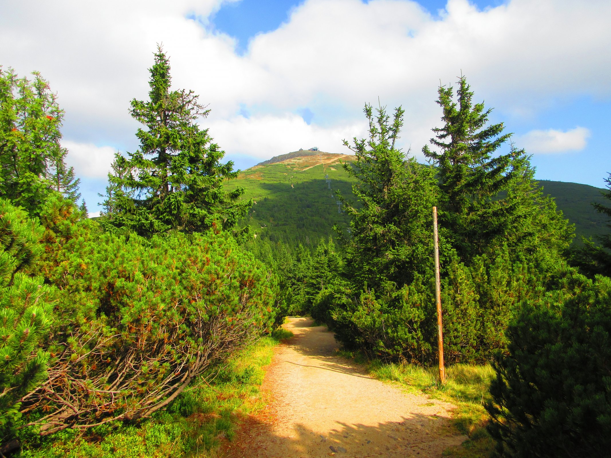 Kterak benátský kupec prošel roku 1456 Krkonoše