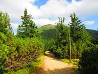 Kterak benátský kupec prošel roku 1456 Krkonoše